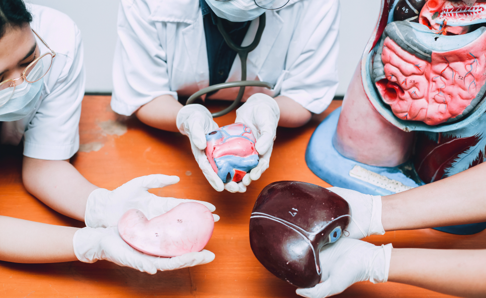 Together, We Can Give the Gift of Life