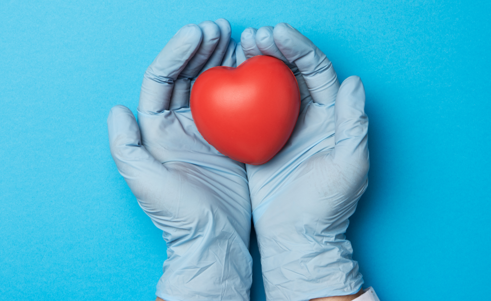 Gloved hands holding a heart, symbolizing the gift of life through organ donation